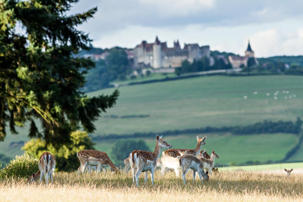 Chateau Sainte Sabine Bagian luar foto